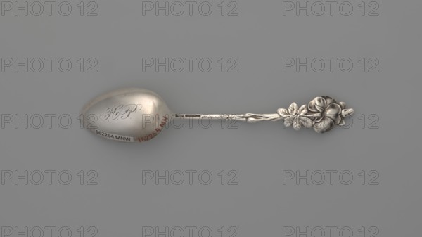 Souvenir spoon, Reed & Barton Taunton; goldsmith's firm; fl. 1840–, maker's role / corporate mottoes / goldsmith's firm, Hennegen Bates & Co fl. 1869–1955 maker's role / corporate mottoes / jewellery firm, Paderewski, Ignacy Jan 1860–1941, roses, flowers, Paderewska, Helena 1856–1934 - monogram, Wilde Rose cutlery model, Ovoid dipper with engraved inscription NORFOLK - VA - / - JAN. - 1905; on the reverse the monogram HP Helena Paderewska in italics. Handle in the form of a floral sprig terminating in an enameled wild rose flower. Design identified as Wild Rose, ca. 1905, Taunton manufacturer, Baltimore jewelry company, United States of America, cutlery, length 13 cm, width 2.1 cm, weight 20 g, A single metal spoon lies horizontally on a flat gray background, showing a polished oval bowl with a smooth reflective surface and a decorative handle featuring sculpted floral and leaf motifs; the spoon's colors are silver and gray with subtle darker shadows and slight warm highlights.