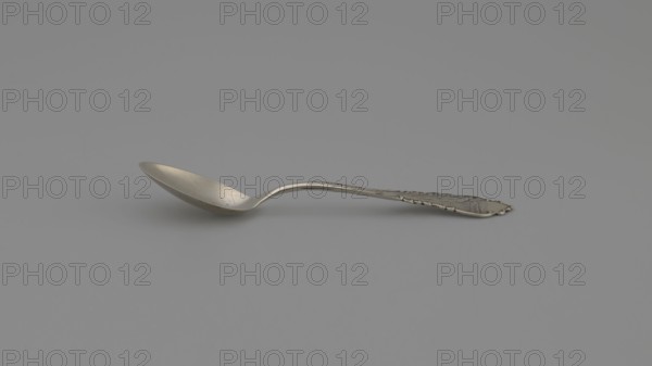 Souvenir spoon, Frank M. Whiting Co. North Attleboro; goldsmith's firm; fl. 1878–1940. Souvenir spoon with ovoid scoop, handle with irregular edge with image of Niagara Falls and inscription NIAGARA, ca. 1900. Materials/attributes: cutlery; length 10.6 cm; width 2 cm; weight 10 g. Maker associated name: Paderewski, Ignacy Jan 1860–1941 noted. United States of America; North Attleboro., A single metal spoon rests on a flat surface against a plain background; the spoon has a shallow, slightly curved bowl and an ornate handle with decorative edges and raised patterns, showing a metallic sheen and small surface marks; the colors visible are various shades of gray and silver.