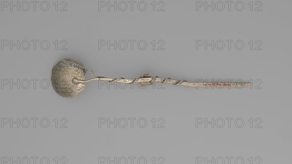 Decorative spoon, vines. Decorative spoon with a flat round scoop with irregular edges decorated on both sides with engraved leaves and clusters; flat handle simulating a branch around which a vine is entwined. Late 19th century. Cutlery; varia. Height 14 cm, width 2.5 cm, weight 5 g., A slender, metallic object shaped like a long stem with a decorative round head is shown against a plain gray background; the head has a textured, scalloped surface with leaf-like patterns and a small curved extension, and the stem features a twisted vine-like element winding along its length with a small leaf-shaped ornament attached; colors visible include silver tones on the object, subtle darker gray tarnish areas, a small area of red on the stem, and the surrounding background gray.
