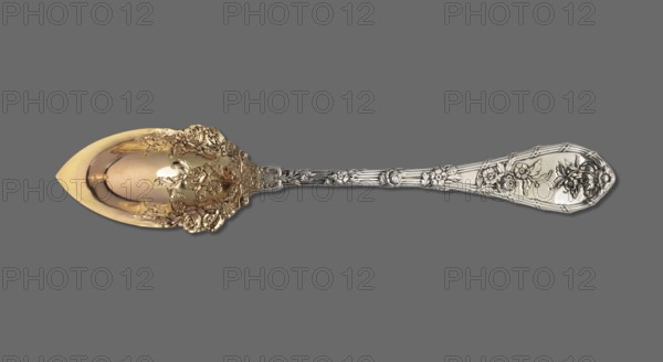 Dessert spoon by Durgin Co. Concord; goldsmith's firm; fl. 1853–1924. Dessert spoon with an ovoid scoop topped with a pointed tip, decorated with semi-plastic roses at the bottom, gilded; handle widening towards the end and topped in a semicircle, edged with a profiled band, decorated with roses. Dauphin pattern introduced by the company in 1897. HP Helena Paderewska monogram indicates the spoon was made or acquired no earlier than 1899 the Paderewskis' wedding date. Inscribed/associated names: Paderewski, Ignacy Jan 1860–1941; Paderewska, Helena 1856–1934. Origin: Concord, United States of America. Cutlery. Dimensions: length 15 cm; width 2.8 cm; weight 30 g., A decorative spoon lies horizontally against a solid gray background, with an ornate bowl on the left that has a warm golden hue and intricate raised floral designs, and a long silver-toned handle on the right featuring embossed floral motifs and linear ridges, the spoon showing reflective highlights and shadows that accentuate ...