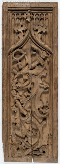 Furniture panel, Gothic, late 15th century, France. Fragment of furniture, bas-relief panel in the shape of an elongated standing rectangle height 73 cm, width 25.4 cm, depth 2.3 cm. Oak. Decoration: acanthus twig on a twisted stem with acorns at the top and a lizard at the bottom, enclosed in a pointed arch, flanked by slender columns with prominent pentagonal bases. Decoration enclosed in a rectangular frame made of lines intersecting in the corners. Motifs: lizards, plant decoration, architectural elements, tracery., A vertically oriented carved wooden panel showing intricate openwork foliage and vine motifs with flowing curved stems and stylized leaves, all in a natural brown wood tone; the panel is divided down the center into two adjoining boards with a visible seam and matching carved patterns on each side, and the surface shows wood grain texture and areas of slight wear and darker brown shading in recessed areas.
