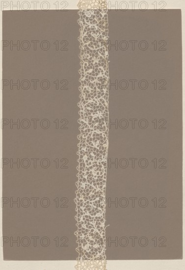 Lace fragment, needle lace, pattern composed of branched floral stem motifs with connecting spans of picots. Lower edge serrated into alternating single and triple picots; upper edge straight. 2nd half of the 17th century, France. Material: lace. Dimensions: length 50 cm, width 3.5 cm., A vertical strip of delicate openwork lace in off-white runs down the center of the image against a large rectangular background in muted brown, with a narrow border of light beige around the outer edges; the lace has an irregular, looping pattern with small rounded motifs and a slightly uneven edge, and the visible colors are off-white, muted brown, and light beige.