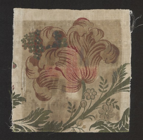 Fabric fragment, fragments of silk fabrics, patterned fabrics, floral patterns, 18th-century silk fabric, grosgrain background - white; pattern brocaded with colorful threads: pale pink, rusty red, muted red, pea green. Design: Flowers with large, fanciful calyxes resembling a blooming tulip, with small blossoms spilling out from the piled-up petals. Stems with fanciful leaves, adorned with tiny buds. 18th century, France. Height 20 cm, width 20 cm., A square textile fragment with a light beige background set against a dark backdrop, showing a large stylized flower with sweeping, curved petals in shades of muted pink and dusty red with subtle beige highlights, accompanied by a cluster of small rounded shapes in bluish green and dark green. Surrounding foliage includes elongated leaves and stems in olive green and darker green tones, and a few small rounded blossoms in a pale beige with green centers. The fabric shows woven texture and slight wear with some frayed edges and loose thread...