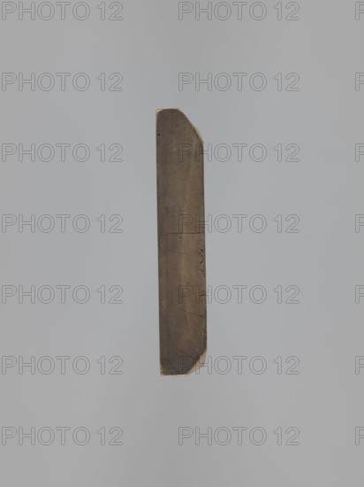 Gingerbread mold, double-sided. Obverse: image of a rider on a horse in a parade uniform from the Napoleonic Wars period bicorn, caftan with epaulettes and braiding, chest order, striped trousers, long boots; horse decorated with a geometric motif; bottom decoration of leaves and flowers. Reverse: small image of a beehive. Rectangular wooden mold, double-sided, with letters CG Gl. carved on the edge initials of the woodcarver or owner., gingerbread mold, decorative/applied art; subject: Napoleonic soldiers, riders, floral decorations, military uniforms, historical costumes, male figures, horse iconography. Date: 18th–19th century. Place: Province of Silesia 1742–1918. Dimensions: height 51.5 cm, width 25.5 cm, depth 5 cm. Maker: unknown woodcarver or gingerbread maker., A vertically oriented narrow rectangular object with slightly chamfered ends suspended against a smooth pale gray background; the object appears wooden with a weathered surface showing a range of brown tones from dark b...