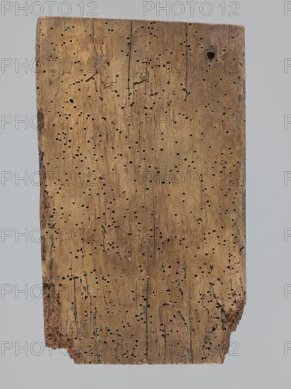 A single-sided gingerbread mold of rectangular shape with the image of a male figure in a richly decorated outfit, wearing a hat with feathers and holding a long staff; clothing characteristic of the 17th century; at the feet of the figure a small base bears the letters ME; gingerbread, 18th–19th century; Province of Silesia 1742–1918; applied/folk decorative art; height 24.3 cm, width 14.3 cm., A rectangular wooden board with a worn surface filled with a group of small round holes and some larger irregular cavities, showing vertical grain lines and scratches; the wood ranges in color from light tan to medium brown with darker brown areas around the edges and in some pits, and there is a rough, crumbly area at one lower corner; the background is a flat pale gray.