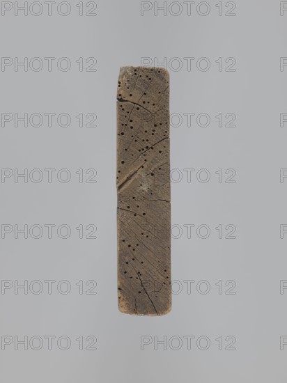 A single-sided gingerbread mold of rectangular shape with the image of a male figure in a richly decorated 17th-century style outfit, wearing a feathered hat and holding a long staff; at the figure's feet is a small base bearing the letters ME. Gingerbread; applied/decorative folk-style object; 18th–19th century; Province of Silesia 1742–1918. Height 24.3 cm, width 14.3 cm., A vertical weathered piece of wood with a rough texture suspended against a plain light gray background, the wood showing brown and dark brown tones with areas of lighter tan, numerous small round holes scattered across its surface, visible radial cracks and grain lines, a slight split near the middle, rounded ends, and subtle darkened edges.