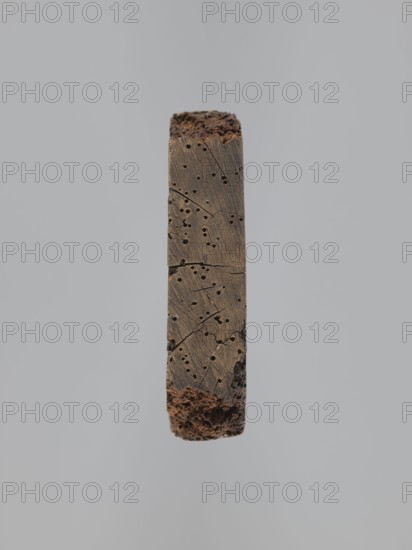 A single-sided gingerbread mold of rectangular shape with the image of a male figure in a richly decorated outfit, wearing a hat with feathers and holding a long staff; clothing characteristic of the 17th century; at the feet of the figure a small base bears the two letters ME. Gingerbread; folk-style decorations and customary scenes; iconography includes a staff, men, hats headgear. 18th–19th century. Applied/decorative art. Height 24.3 cm, width 14.3 cm., A vertical piece of wood suspended against a light gray background, showing a weathered dark brown surface with visible grain lines, cracks, and a pattern of small round holes; the top and bottom edges are rough and porous with a reddish-brown, crumbly texture, and the main body has variations of brown and gray tones.