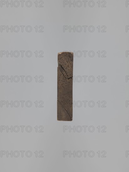 One-sided gingerbread mould with the image of a bachelor;, One-sided rectangular mould depicting a male figure standing with joined hands, wearing a patterned tricorn hat and a long wig in a bachelor’s costume from the 2nd half of the 19th century; figure dressed in a justaucorps, culottes, stockings and high-heeled shoes; a dog at the man's leg; decorative plant motifs at the bottom. Folk-style decorations, plant motifs. Applied and decorative art; repossession noted. Dating: 17th century or early 18th century; 18th–19th century; Silesia Province of Silesia, 1742–1918. Dimensions: height 50 cm, width 18 cm, depth 4.2 cm., A vertical rectangular block with a weathered brown surface suspended against a smooth light gray background; the block shows small dark puncture marks scattered across its face and several thin dark cracks running diagonally, with slightly rounded worn corners and edges, and visible variations in brown tones from lighter to darker.