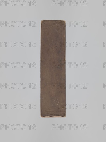 One-sided gingerbread mold with the image of a rider, decorative art, horses, riders, plant ornaments, figurative motifs, folk-style decorations, gingerbread, zoomorphic motifs, applied art, Silesia 1742–1918, one-sided rectangular mold depicting a rider on a horse wearing a hat decorated with an egret and holding an olive branch, with geometric and plant decoration at the bottom; 18th–19th century; mold; height 19 cm, width 12.8 cm, depth 3.6 cm., A narrow rectangular vertical object photographed against a plain light gray background, the object appears brown with darker and lighter brown variations, worn edges, small scuffs and scratches, a few tiny pale spots near the lower middle, slightly rounded corners at the top and bottom, and a small crack near the lower edge.