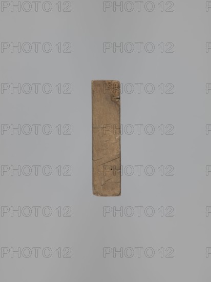 Double-sided gingerbread form. Obverse: female figure in a hat and long patterned dress; Reverse: baby in swaddling clothes, richly decorated with geometric and plant ornament. Rectangular form; folk motifs, plant ornaments, decorative art. 18th–19th century. Province of Silesia 1742–1918. Height 23.5 cm; width 9.5 cm; depth 2.6 cm., A vertical rectangular piece of weathered wood with visible grain, cracks, and rough edges suspended against a smooth, pale gray background; the wood is brown with darker brown areas and small darker blemishes, and the background shows subtle variations of light gray.