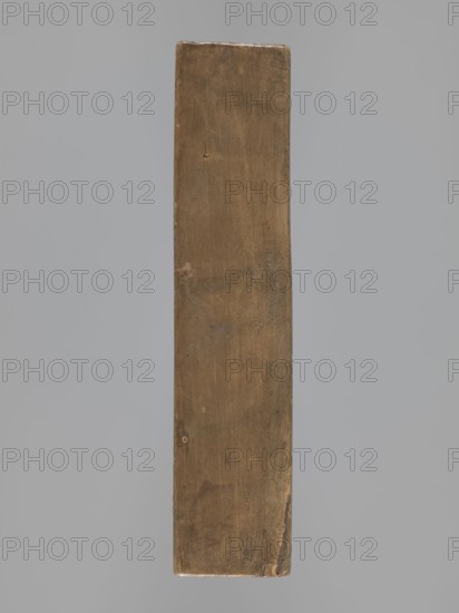 Double-sided gingerbread mold; obverse: sheep, reverse: hare. Woodcarving; folk-style decorations, zoomorphic motifs, figurative scenes. Rectangular mold: one side shows a sheep standing in a meadow with its head turned forward; the other shows a running hare with a flowery meadow at its feet. 18th–19th century, Province of Silesia 1742–1918. Mold; height 15.5 cm, width 9 cm, depth 3.6 cm., A long vertical wooden plank with a weathered surface, showing grain patterns, small knots, and worn edges, photographed against a smooth gray background; the plank is brown with variations in tone including darker brown patches and lighter tan areas, and the background is gray.