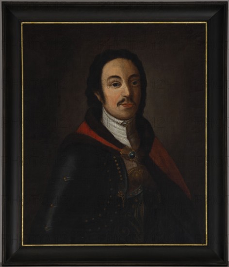 Portrait of Piotr Nalecz Malachowski ca. 1730–1799, unknown artist. Oil on canvas double canvas; later separated. Half-length portrait of a young, dark-haired man with shoulder-length hair swept back, sideburns and a small mustache, turned slightly to the right and wearing polished dark-gray armor decorated with ochre rivets and a golden palmette motif at the chest. Over the shoulders is a muted red coat lined with dark brown fur, fastened on the chest with a rectangular golden clasp set with a round green stone. A white zupan rises high at the neck and a narrow white shirt collar is fastened with a square clasp. The oval, rosy-complexioned face has a high forehead, broad black arched eyebrows, a straight tapering nose and a small pinkish-orange mouth; large dark eyes gaze outward with an absent expression. The background is brown and smoothly painted, slightly lightened around the head. The painting is executed flatly, without glazes. On the reverse, inscriptions dating from the begin...