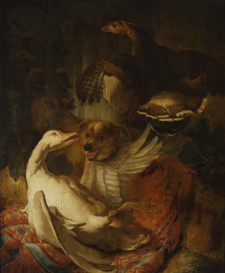 Dog Fight with a Goose, French painter fl. 18th century painter, French painting, animal studies, dogs, geese iconography, 2nd quarter of the 18th century, painting; dimensions: 135 × 111 cm with frame: 156 × 132.5 × 6 cm., A dimly lit scene showing a white bird with pale feathers reclining on a richly patterned red and blue fabric, a brown dog behind it with its mouth open and visible teeth, and a darker bird with brown and tan plumage and patterned wing feathers perched above; the palette includes shades of brown, dark green, beige, white, red, and blue, with shadowed background areas and warm, golden highlights on the animals and fabric.
