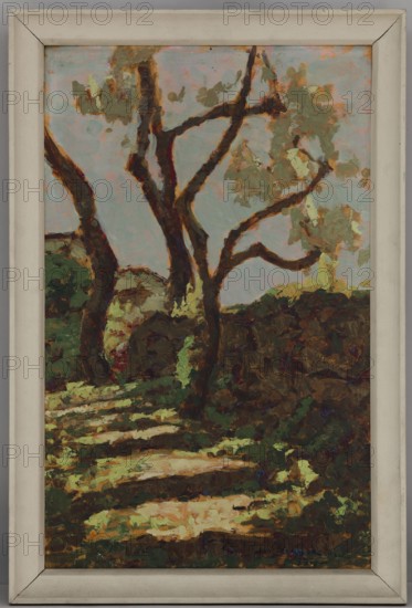 Uphill in the Sun, Bohuszewicz, Jan 1878–1935, painter; contemporary painting; landscape; interwar period; trees; 1934; Poland; painting; height 55 cm, width 35 cm., An upright framed painting showing a landscape with a group of tree trunks and branches rendered in thick brushstrokes, the trunks in dark brown and black tones with highlights of reddish brown, set against a pale blue and muted pink sky; there are several patches of foliage in olive green, light green, and muted yellow clustered among the branches, and a dark earthy foreground of greens, browns, and deep olive with brushy textures suggesting undergrowth and shaded ground, along with dappled areas of pale yellow and light beige that create a sense of light on a path; the painting is enclosed in a simple off-white frame with visible corner joints.