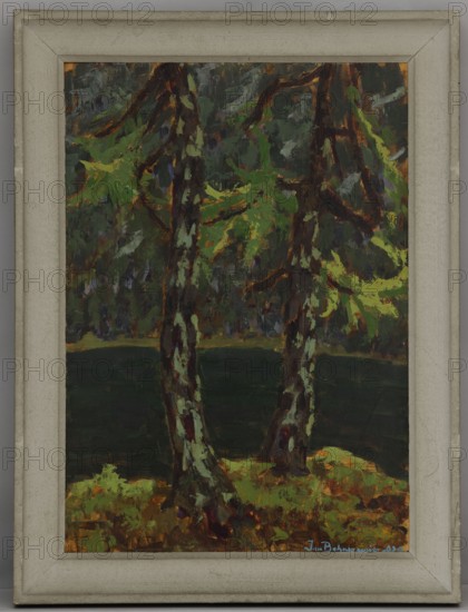 Larches on the Lake in Dobiacco, Bohuszewicz, Jan 1878–1935 painter, contemporary painting, interwar period, trees, Italy, lakes, landscapes, 1929, painting, height 51 cm, width 35.3 cm, A framed painting showing a natural scene with a group of tree trunks and branches in the foreground, painted with dark brown and deep green tones accented by lighter green and yellow foliage and patches, set against a darker background that appears greenish and muted, with a foreground ground area featuring earthy browns, olive greens, and touches of yellow; the frame is a pale grayish-beige surrounding the image.