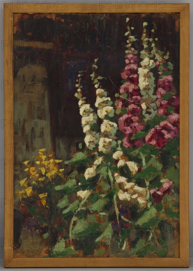 Mallows in the Sun, Bohuszewicz, Jan 1878–1935, painter; contemporary painting, interwar period; subject: mallows/flowers, composition; dated 1929; place of origin: Italy; painting; height 53.5 cm, width 36.5 cm., A framed painting showing a cluster of tall flowering plants against a dark background, with a group of pale cream flowers and a group of pink and deep red flowers rising upward, surrounded by green leaves. There are additional small yellow flowers near the lower left and various green and brown foliage at the base. The background is primarily dark brown and black with muted patches of olive and gray, and the frame is a warm wood tone.