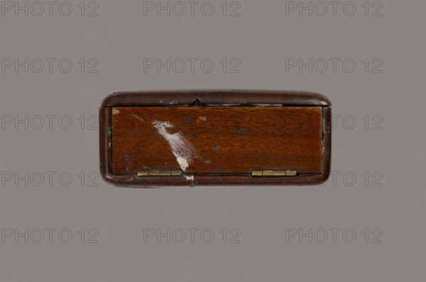 Jan Stanislawski's painting box; maker: Jan Stanislawski 1860–1907 — painting implements, artists in the open air, painting accessories, plein air studies; late 19th century; dimensions: height 10 cm, width 16 cm, depth 3.5 cm, A small rectangular wooden box viewed from its narrow side showing a hinged front panel, with a warm brown wood grain and a darker brown rounded top edge, a few areas of worn lighter brown and pale beige scuff marks on the front, small touches of green near the corners, and two small metallic brass-colored hinges along the bottom edge, all set against a flat gray background.