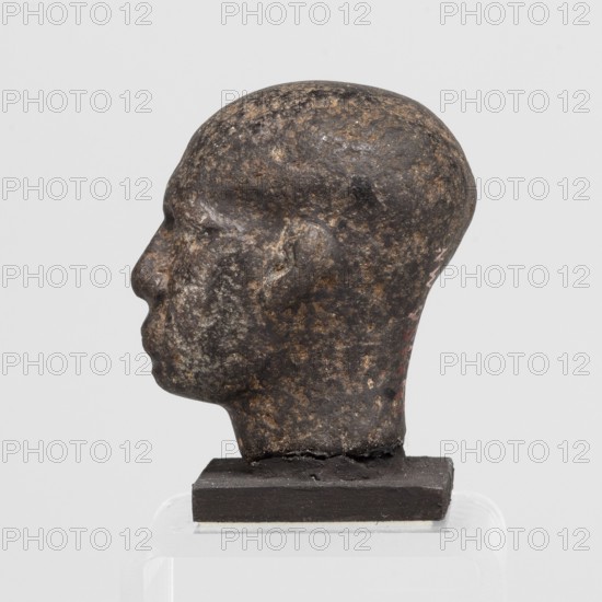 Head of a priest figurine, male, Egyptian sculpture; a man's head fragment of a statuette, completely devoid of hair. Excavated bony skull structure, expanded in the rear, upper part highly vaulted. Small, narrow eyes with heavy drooping eyelids; fleshy nose flattened at the tip with wide, thick nostrils. Deep furrows and wrinkles under the eyes and around the nose and mouth. Fleshy, schematically rendered ears, right ear slightly flattened. With base 10.5 cm. Circa 747–656 BC, Third Intermediate Period, 25th Dynasty, Egypt. Sculpture; height 4.7 cm, width 3.5 cm, depth 4 cm., A profile view of a sculpted head displayed on a small rectangular base, showing a rounded skull, forehead, nose, lips, chin, and ear with textured surface irregularities; the sculpture has a rough mottled coloration of dark brown, black, and lighter brown patches with small areas of pale and reddish tones, and it sits on a dark brown support placed on a translucent stand against a light gray background.