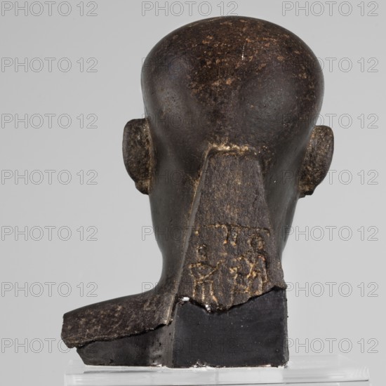 Head of a priest figurine, The head of a priest, hairless, high-domed, elongated towards the back, with a serene, young face; skillful and sensitive modeling emphasizes the skull shape, round cheeks, and a slightly smiling mouth. With base. 380–343 BC; Late Period, 30th Dynasty, Egypt. Sculpture. Height 10 cm, width 8 cm, depth 8 cm, weight 0.64 kg., A rear view of a dark brown sculpted head with a smooth rounded top and short ears, mounted on a darker base; the surface shows lighter brown speckling and worn areas, and there are visible carved relief markings on the back of the neck; the background is light gray and the base rests on a clear support.