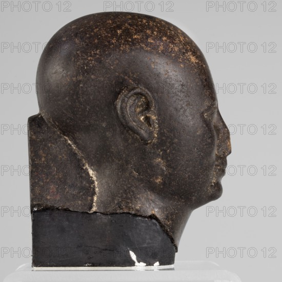 Head of a priest figurine, Goluchów Greater Poland Voivodeship. The head of a priest, in accordance with current custom, is hairless, high-domed, elongated towards the back, with a serene, young face. Skillful and sensitive modeling brought out the shape of the skull, the roundness of the cheeks, and the slightly smiling mouth. With base. 380–343 BC; Late Period, 30th Dynasty, Egypt. Sculpture; height 10 cm, width 8 cm, depth 8 cm, weight 0.64 kg., A sculpted stone head shown in profile resting on a rectangular base, the head is dark brown to nearly black with mottled patches of lighter brown and golden flecks, the surface appears worn and slightly rough, the ear is visible with carved inner details, the forehead and rounded skull are smooth, the nose and lips are defined, the base is darker black with a rough texture and a small area of white near its bottom edge, the background is a plain light gray.