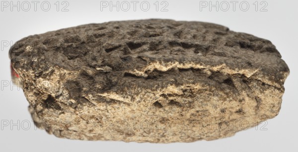 Cuneiform tablet with receipt, unknown Babylonian official role classification of creator, cuneiform tablets, Neo-Babylonian document, trade, Rectangular tablet, slightly convex, horizontally oriented. Three corners broken off; cracks on the lower and left sides; 9 lines of cuneiform text on the obverse, 2 on the lower side, 9 on the reverse. 6th century BC; Neo-Babylonian period, Babylonia Iraq, Southern Mesopotamia, administrative document, height 3.8 cm, width 4.5 cm, thickness 2 cm, A roughly oval, textured object with a rugged, pitted surface shown against a light background; the object displays a mix of gray, brown, tan, and beige tones with darker gray-brown crevices and lighter tan highlights on raised areas, and a small hint of red visible at one edge.