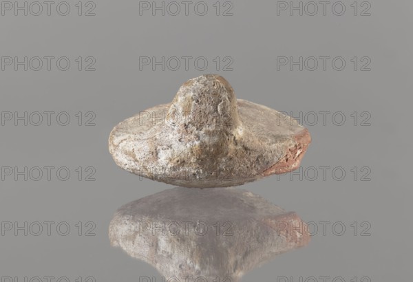 Oil lamp, Islamic art, Arabic culture; oil lamp in pottery with conical handle and traceably marked foot; utility pottery used in everyday life in the Middle East; 8th–10th century, Middle East; dimensions: height 5.8 cm, width 11.8 cm, depth 9.1 cm., A weathered, rounded object with a raised central peak rests against a smooth gray background, its surface showing rough, pitted textures and irregular edges; the object displays a mix of muted colors including gray, brown, off-white, and patches of reddish-brown, and a faint reflection of the object appears below it on the glossy surface.