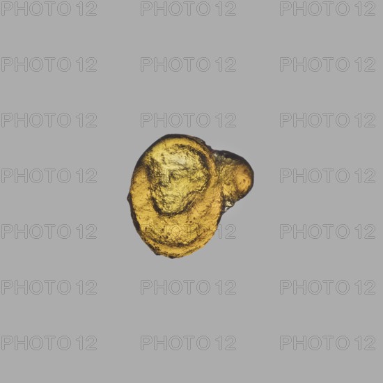 Gemma intaglio with a portrait of a boy, unknown Italian workshop, portraits of boys, 1st half of the 1st century, Italy, Roman Empire 27 BC–476, gemma; height 1.1 cm, width 1.2 cm, depth 0.3 cm., A small irregularly shaped object with a textured, bumpy surface sits centered against a smooth light gray background; the object is golden yellow with darker amber and brownish areas, showing highlights and subtle shadowing that emphasize its uneven, layered form and glossy appearance.
