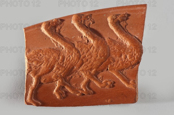 Fragment of a terra sigillata plate rim. In the rim part there is a zoomorphic decoration in the form of a representation of running ostriches. Late 3rd–early 4th century AD, Tunisia. Plate; height 13.4 cm, width 22.1 cm, weight 0.032 kg., A broken reddish-brown ceramic fragment with a raised relief showing a group of three walking bird figures in profile; the relief includes textured feathering and curved necks and legs, and the fragment has rough edges and small chips. The background visible around the fragment is a light gray surface.
