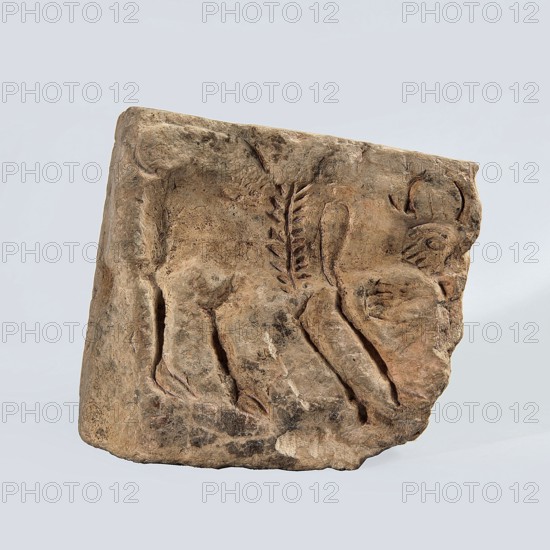 Hexagonal matrix for imprinting terracotta decorations, 1st–3rd century; Roman period, Tell Atrib, form, height 15.8 cm, width 15.3 cm, depth 12 cm, A roughly rectangular carved stone fragment rests against a pale bluish-gray background, showing the carved outline of an animal in low relief. The stone surface is mottled in shades of beige, tan, light brown, and darker brown spots with some grayish areas. The carved animal form displays a rounded head with a curved horn-like detail and a pronounced eye area, a short neck, a body with a suggestion of a mane or ridge of leaf-shaped markings along the back, and sturdy legs angled downward. The carving shows tool marks and weathered pits, and the stone edges are irregular and chipped, with smoothed and rough textures across its surface. The overall tones visible include beige, tan, brown, gray, and hints of darker brown.