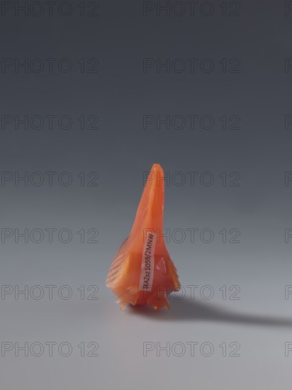 Hen; creator, sculptor; ; Chinese art; Chinese culture; Qing dynasty 1644–1911; figurine of a hen; 18th–19th century; China; sculpture; height 4.5 cm; width 5.0 cm; depth 2.3 cm, A small glossy orange object with a pointed top and a textured base sits on a smooth gray surface against a dark gray background, casting a soft shadow to the right; the object shows subtle variations of orange and a few lighter yellowish-orange highlights.