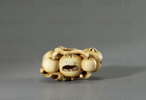 Netsuke in the shape of a twig with biwa loquat fruits, Gyokuhôsai Yamada Bunjiro, active ca. 1850–1870, 2nd half 19th century ca. 1850–1860, Kaei 5–Ansei 7, Japan. Ivory, engraving; 2.0 × 4.2 × 2.8 cm. Signed: Gyokuhosai. Miniaturization of form with high decorative value: an ivory-carved biwa branch treated faithfully to the plant so the fruit is easily recognized. In three fruits the artist carved microscopic landscapes identified by inscriptions as Shinobazu Pond, the Tama River, and the plateau Sengenyama across which the Tamagawa flows. Sculpture, netsuke katabori., A small carved object in cream and light beige tones sits on a flat surface against a smooth gray background; the object resembles a cluster of rounded forms with a slightly glossy surface, showing subtle darker brown shading in crevices and along carved lines, and a few small dark spots and striations; there are curved and hollowed areas, thin connecting stems, and textured interior carving visible through an opening...