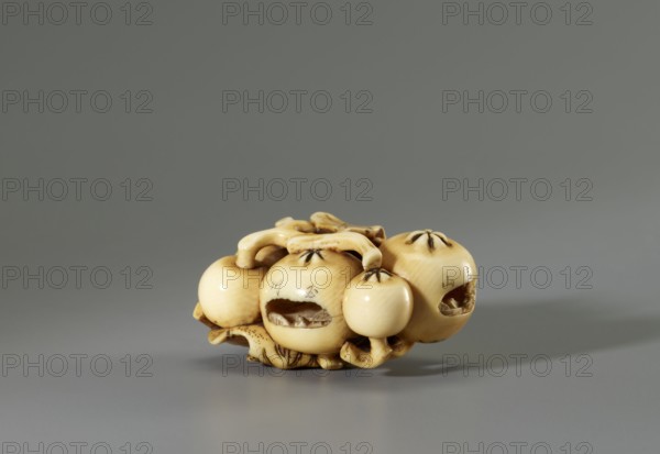 Netsuke in the shape of a twig with biwa loquat fruits, Gyokuhôsai signature of Yamada Bunjiro, active in Edo mid-19th century, ca. 1850–1860 Kaei 5–Ansei 7, Japan. Ivory, engraved, netsuke katabori, height 2.0 cm × width 4.2 cm × depth 2.8 cm. Miniature ivory-carved branch treated faithfully to the plant’s appearance so the loquat fruits are immediately recognizable; three fruits contain microscopic carved landscapes identified by inscriptions as Shinobazu Pond, the Tama River, and the Sengenyama plateau. Signed: Gyokuhosai., A small carved object rests on a smooth surface, showing a cluster of rounded forms connected by looping stems and carved details; the object is a creamy ivory color with darker brown shading in crevices and grooves, and there are a few polished highlights where light reflects. The background is a uniform gray with subtle gradient, and a soft shadow falls beneath and to one side of the carved piece. The carving displays textured areas, smooth rounded surfaces, an...