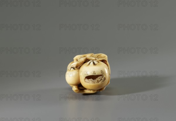 Netsuke in the shape of a twig with biwa loquat fruits, Gyokuhôsai Yamada Bunjiro, active in Edo, ca. 1850–1870, 2nd half 19th century ca. 1850–1860, Kaei 5–Ansei 7. Ivory, engraving; netsuke katabori sculpture, height 2.0 cm, width 4.2 cm, depth 2.8 cm. Signed Gyokuhosai. Miniaturization of form with strong decorative value: the biwa branch is carved faithfully to the plant so the fruit is clearly recognizable. In three of the fruits the artist carved microscopic landscapes identified by inscriptions above them depicting familiar Edo places—Shinobazu Pond, the Tama River, and the Sengenyama plateau across which the Tamagawa flows. Japanese, Edo period., A small carved object sits centered on a smooth surface against a plain background, showing a glossy cream and light tan color with darker brown shading in recessed areas; the carving features rounded bulbous forms and carved indented details, with a visible hollowed section and tiny textured carving inside, and subtle shadowing beneat...
