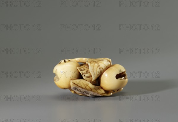 Netsuke in the shape of a twig with biwa loquat fruits, Gyokuhôsai signature of Yamada Bunjirô, active in Edo, ca. 1850–1870. Ivory, engraving; 2.0 × 4.2 × 2.8 cm. Second half 19th century ca. 1850–1860, Kaei–Ansei. Miniature netsuke katabori carved as a realistic biwa branch; three fruits contain microscopic carved landscapes identified by inscriptions as Shinobazu Pond, the Tama River, and the Sengenyama plateau. Signed Gyokuhosai. Sculpture, netsuke., A small carved object in cream and pale yellow tones rests on a smooth light gray surface against a darker gray background; the carving shows rounded forms and folded shapes with engraved lines and small dotted patterns in brown, and a few areas with darker brown shading and tiny carved openings, giving glimpses of interior textures; the overall piece casts a soft shadow on the surface.