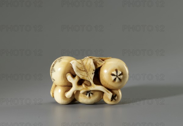 Netsuke in the shape of a twig with biwa loquat fruits, Gyokuhôsai Yamada Bunjiro, active in Edo, ca. 1850–1870, 2nd half 19th century ca. 1850–1860, Kaei–Ansei periods. Ivory, engraving, 2.0 × 4.2 × 2.8 cm. Signed Gyokuhosai. Miniature ivory-carved netsuke faithfully depicting a biwa branch; three fruits contain microscopic carved landscapes identified by inscriptions as Shinobazu Pond, the Tama River, and the Sengenyama plateau Tamagawa. Sculpture, netsuke katabori., A small carved object rests on a smooth surface against a neutral gray background, showing a cluster of rounded forms resembling fruit with attached stylized leaves and a branching stem. The object is a warm creamy ivory color with darker brown shading in crevices and around the carved details, including star-shaped depressions on some rounded faces. The leaves display engraved vein lines highlighted by darker brown tones, and the surface has a glossy, polished sheen. The overall composition is compact and organic, with ...