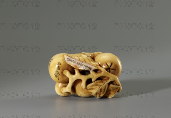 Netsuke in the shape of a twig with biwa loquat fruits, Gyokuhôsai Ryûchin, fl. ca. 1850–1870. Ivory, engraving; 2.0 × 4.2 × 2.8 cm. Signed Gyokuhosai. Second half of 19th century ca. 1850–1860, Kaei 5–Ansei 7, Japan. Miniature carved netsuke katabori in the form of a biwa branch, rendered faithfully to the plant so the fruit is readily identifiable. In three fruits the artist carved microscopic landscapes, identified by inscriptions as Shinobazu Pond, the Tama River, and the plateau Sengenyama. Gyokuhôsai is the signature used by Yamada Bunjiro, active in Edo in the second half of the 19th century. Height 2.0 cm; width 4.2 cm; depth 2.8 cm., A small carved object sits on a flat surface against a plain background, showing a smooth yellowed ivory tone with darker brown shading in crevices and along carved lines, and small areas of darker brown spotting; the carving forms rounded bulbous shapes connected by an openwork organic lattice and includes stylized leaf forms with incised veining...