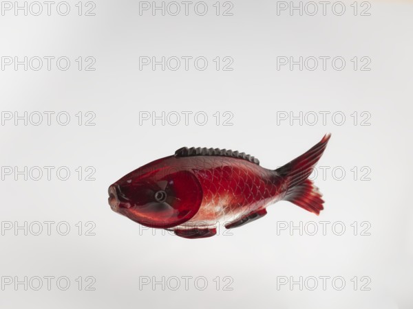 Snuffbox, carps, Chinese art, Chinese culture, Qing 1644–1911, fish, glass stained purple with gold chloride, 18th century, China, vessel, height 11.0 cm, width 4.0 cm, A carved fish-shaped object with a glossy, translucent deep red surface and darker red to almost black shading, showing textured scale patterns and a ridged dorsal area, a sculpted head with rounded eyes and a slightly open mouth, curved fins and a forked tail with layered fin details, all set against a pale off-white to very light gray background.