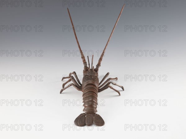 Lobster-shaped okimono Ise ebi, bronze figurine, jizai okimono; late 19th century Meiji period, 1868–1912, Japan. This type of lobster is called Ise ebi because many are harvested in Ise Province, Mie Prefecture. The lobster's spiny shell is said to protect people from demons oni and bring good luck. In some regions of Ise Province, there is an old custom of decorating sacred ropes at shrines shimenawa with lobster shells. Sculpture; length 42.0 cm, width 21.0 cm, weight 1.08 kg., A brown sculptural object resembling a crustacean is centered in the image, shown from behind with a segmented tail and a pair of broad, textured tail fins at the foreground; several jointed legs extend outward on both sides, and two long, thin antennae rise vertically from the front. The surface of the object appears metallic with a brown patina and subtle highlights. The background is a smooth gradient transitioning from gray at the top to off-white toward the bottom, and the object casts a faint shadow on ...