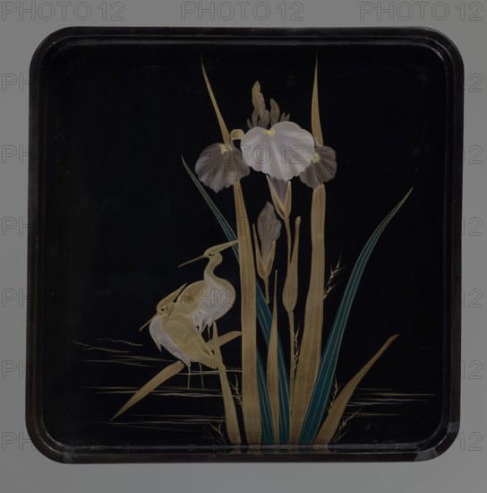Tray, Meiji period 1868–1912, Japan. Lacquer tray depicting irises and herons in kachôga style. 19th/20th century. Height 4.0 cm; width 30.3 cm; depth 30.3 cm., A decorative panel with a dark black background featuring a group of tall, slender plants with long leaves in shades of gold and teal and large pale flowers in soft white and light gray, accompanied by a pair of birds with curved necks and long beaks rendered in pale gold and muted beige tones, all set within a rounded rectangular frame that is dark brown with subtle highlights.