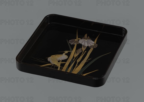 Tray, Meiji 1868–1912, Japan. Painted tray depicting irises and herons kachôga iconography. 19th/20th century Meiji period. Materials/technique: painted tray. Dimensions: height 4.0 cm; width 30.3 cm; depth 30.3 cm., A rectangular black lacquer tray with rounded corners sits against a gray background, its interior surface glossy and reflecting light; on the tray is a painted design showing a group of yellow and pale golden reeds and long leaves, a few slender green leaves, and a cluster of flowers with grayish-lavender and muted brown petals, accompanied by two stylized pale yellow birds standing among the reeds.
