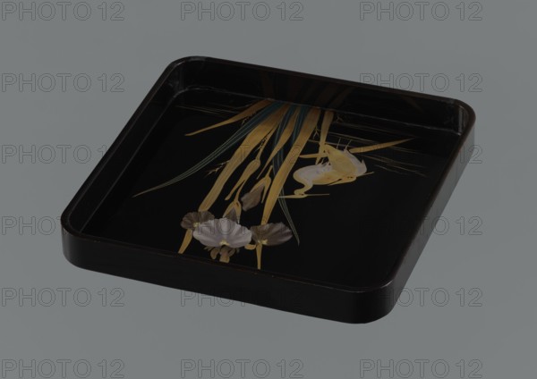 Tray, Meiji period 1868–1912, Japan. Lacquer tray height 4.0 cm; diameter 30.3 cm decorated in kachôga style with irises and herons. 19th–20th century., A rectangular black tray with rounded corners sits against a gray background, its glossy interior decorated with a painted design featuring a group of long, slender golden-yellow leaves and stems, a few teal-green accents, a pale yellow frog-like shape, and several pale grayish-white flowers with golden-yellow centers.