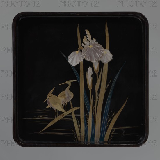Tray, ; subject: two wading herons and a clump of irises kachôga; wooden tray covered with black roiro lacquer; decoration in gold and silver hiramaki-e with three dark blue leaves; Meiji Period 1868–1912, 19th/20th century; Japan; height 3.5 cm, width 28.3 cm, depth 28.3 cm., A decorative square tray with a black background and a dark brown rounded frame showing a painted scene of a group of pale flowers and long leaves in golden and blue tones rising from the lower edge, accompanied by a pair of small birds in golden and light brown shades standing on a blade of grass; the flowers have pale petals with subtle white highlights and yellow centers, and the composition includes thin golden lines suggesting water ripples.