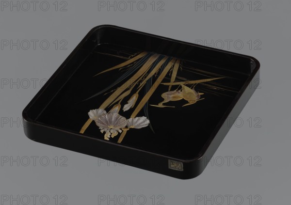 Tray, gift; wooden tray covered with black roiro lacquer; decoration: two wading herons and a clump of irises, made with gold and silver hiramaki-e three dark blue leaves. Meiji Period 1868–1912, 19th/20th century, Japan. Kachôga bird-and-flower subject. Height 3.5 cm; width 28.3 cm; depth 28.3 cm., A square black tray with rounded corners and raised edges features a painted decorative design showing a group of long, slender golden-yellow leaves and a few dark green blades extending across the black surface, a pair of golden-yellow frogs perched among the leaves, and a cluster of pale silvery-white flowers with soft yellow centers; the tray's exterior is dark brown to black and the background around the tray is gray.