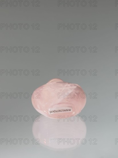 Snuffbox with spoon, decorated with flowers and dragonflies, Chinese art; Chinese, Qing 1644–1911, 19th century, China; vessel; height 7.4 cm, width 4.4 cm, depth 2.5 cm, A smooth, rounded object with a glossy surface in shades of pale pink rests on a reflective surface, producing a soft reflection beneath it; the background is a muted gray gradient.