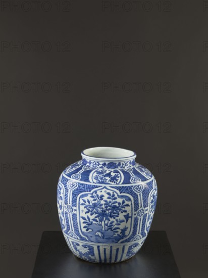 Resource pot — vase, maker, Chinese blue-and-white porcelain; floral decorations with flower tendrils, shrubs, and rocks; decoration: in a wide band four reserves depicting rocks and flowering shrubs; ceramics; Qing dynasty 1644–1911, 17th–18th century; vessel; height 35 cm; Chinese., A rounded ceramic vase with a short neck sits on a dark surface against a dark background, decorated with intricate floral and geometric patterns in blue on a white base; the blue designs include stylized flowers, leaves, circular motifs, and framed panels, and the vase shows bands of patterning around the neck, body, and base with alternating decorative panels and vertical elements, the dominant colors visible are blue, white, and dark gray from the surface and background.