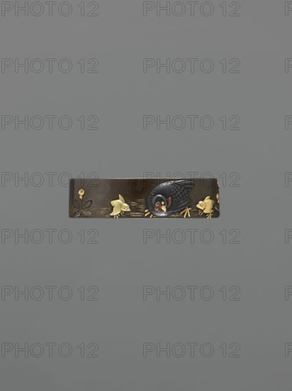 Metal collar ending a sword hilt fuchi, Suiyôdô, Toshimasa craftsman, Japanese, Edo 1603–1868, 19th century, Japan. Materials and subject: fuchi depicting roosters and hens; function: sword hilt collar for katana. Dimensions: height 3.7 cm, width 2.1 cm, depth 1.0 cm., A narrow dark brown band with decorative relief showing a black bird with textured feathers and a rounded head and beak, accompanied by a few small gold-colored fish and gold-colored floral elements, set against a plain gray background with shades of lighter and darker gray.
