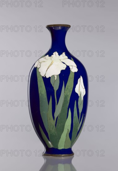 Vase, irises, cloisonné enamel, revindication Kraków, Japanese art, Japanese culture, flowers iconography, vases, flower vases, decorative vessel, Meiji 1868–1912, late 19th century Meiji Period, Japan, vessel, height 17.7 cm, diameter 8.4 cm, A tall, rounded vase with a narrow neck and flared rim sits vertically against a pale gray background; the vase is primarily deep blue with decorative floral motifs showing a group of white flowers and buds with green leaves rising from the base; the rim and base have a thin band of brownish color; the floral details include varying shades of white and yellow highlights on the petals and several tones of green on the leaves and stems.