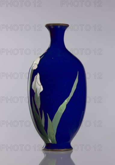 Vase, ; cloisonné enamel; irises; Japanese art/culture; flowers iconography; vases, flower vase, decorative vessel; Meiji 1868–1912, late 19th century; Japan; vessel; height 17.7 cm, diameter 8.4 cm., A deep blue vase with a narrow neck and flared rim sits upright against a light gray background, its glossy surface reflecting light; a group of elongated green leaves and a few white flower shapes are painted along one side, and a thin brown band trims the rim and base.