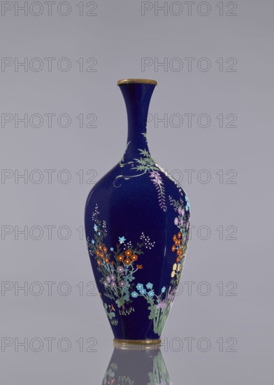 Vase, cloisonné enamel;, gift, repossession Krakow. Ovoid vase, elongated, with a long thin neck slightly flared at the spout. Decoration on a navy blue background depicting wisteria, hens, roosters, and flowers. Japanese, Meiji period c. 1890–1910. Vessel, height 15.6 cm; diameter 5.6 cm; width 6.4 cm., A tall, slender vase with a deep blue body and a narrow neck flaring slightly at the rim, decorated with painted floral designs showing a group of small flowers and foliage in colors including orange, light blue, pale purple, green, white, and yellow, with a metallic band at the rim and base and a reflection of the vase visible on the surface below against a pale gray background.