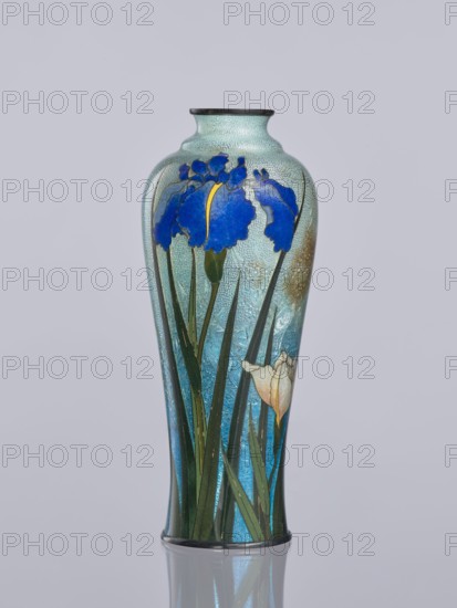 Vase by Miwa Tomisaburô fl. ca. late 19th–early 20th century. Cloisonné enamel elongated vase, Meiji period early 20th century, 1868–1912, Japan. Decoration: white and blue irises in the background; cranes engraved and polished in foil among plants, standing in water; foil covered with transparent enamel. Height 12.2 cm; diameter 5.1 cm., A tall decorative vase with a narrow neck and rounded shoulders standing on a reflective surface, featuring a light turquoise textured background and a band of darker turquoise toward the base, decorated with a group of blue flowers with yellow accents and several long green leaves and stems, plus a pale cream flower among the foliage; the vase has a dark rim at the top and a dark base, and the overall color palette includes shades of turquoise, blue, green, yellow, cream, and dark brown.